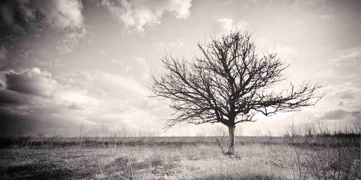 Psicologo depressione Roma Cassia Grottarossa